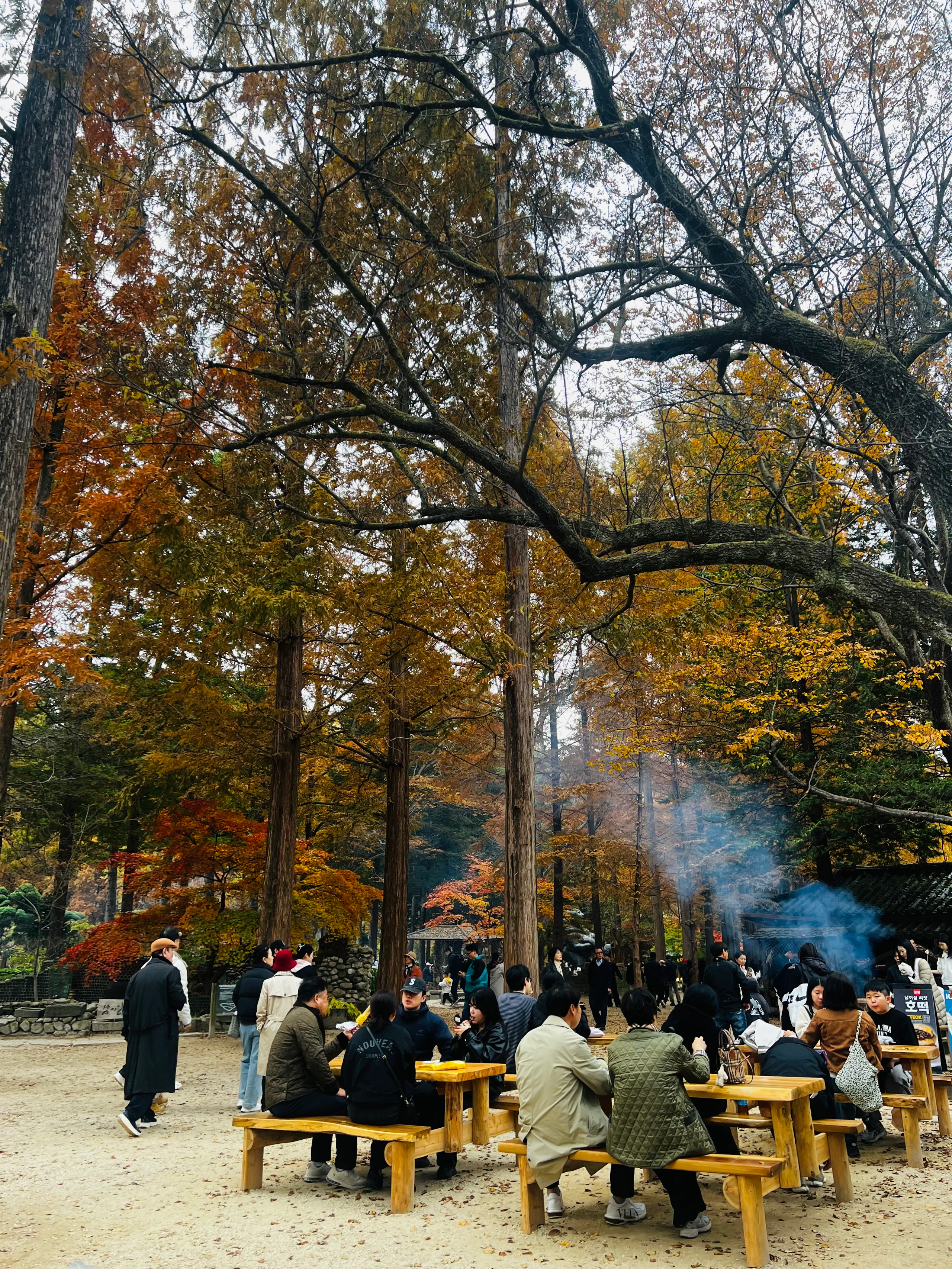 Nami Island in Chuncheon-si, Gangwon-do, South Korea