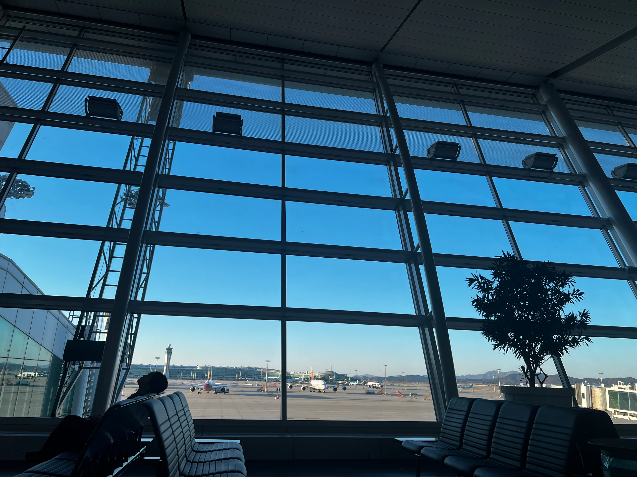 Farewell, Seoul