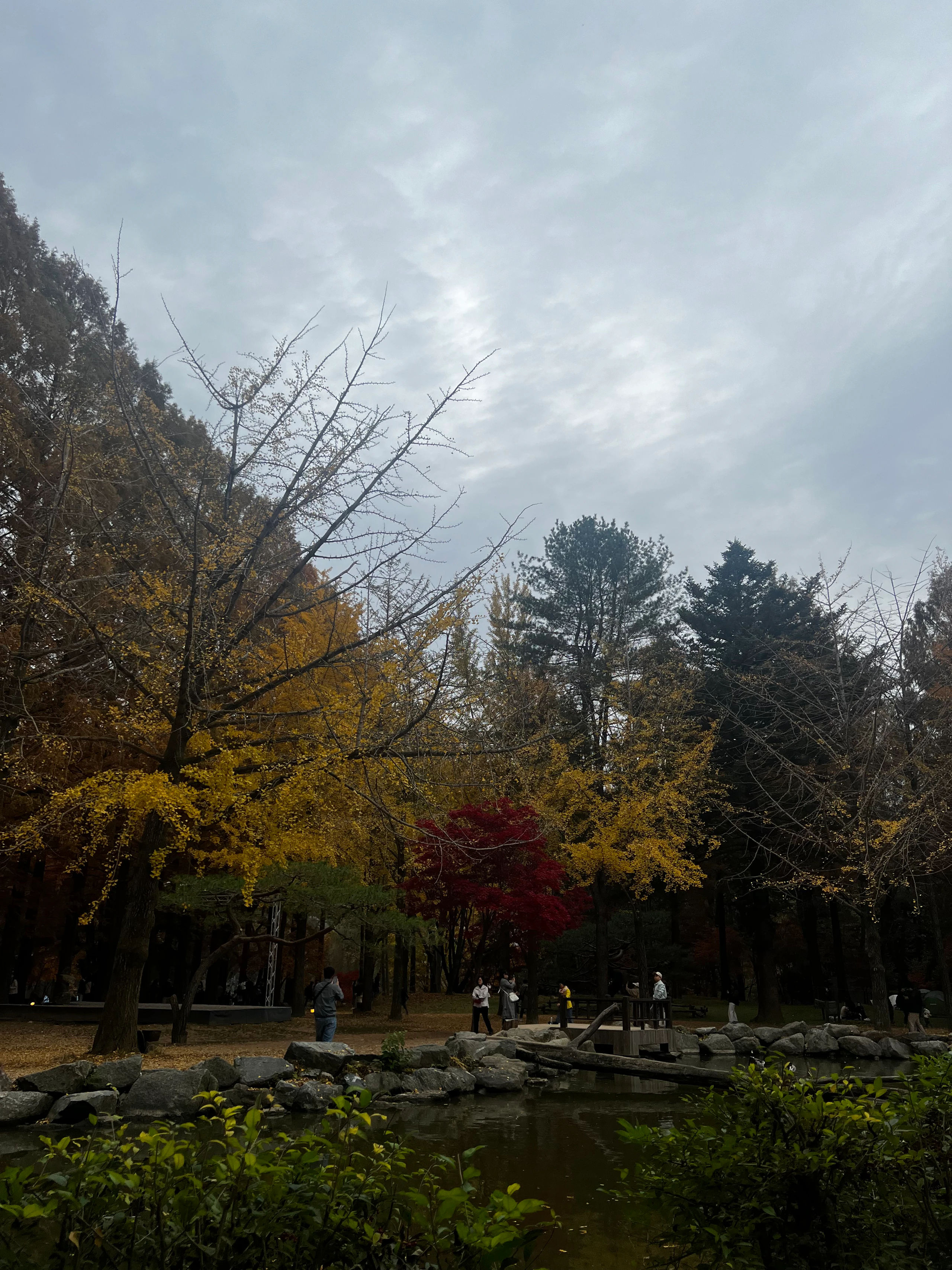 Nami Island in Chuncheon-si, Gangwon-do, South Korea