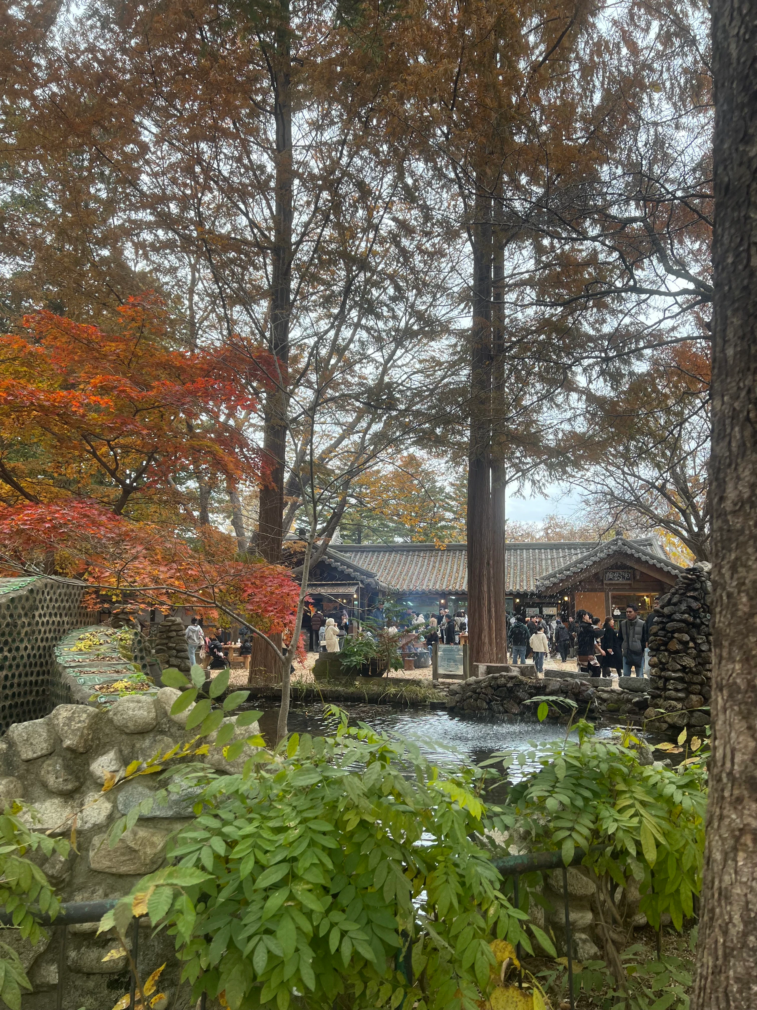 Nami Island in Chuncheon-si, Gangwon-do, South Korea