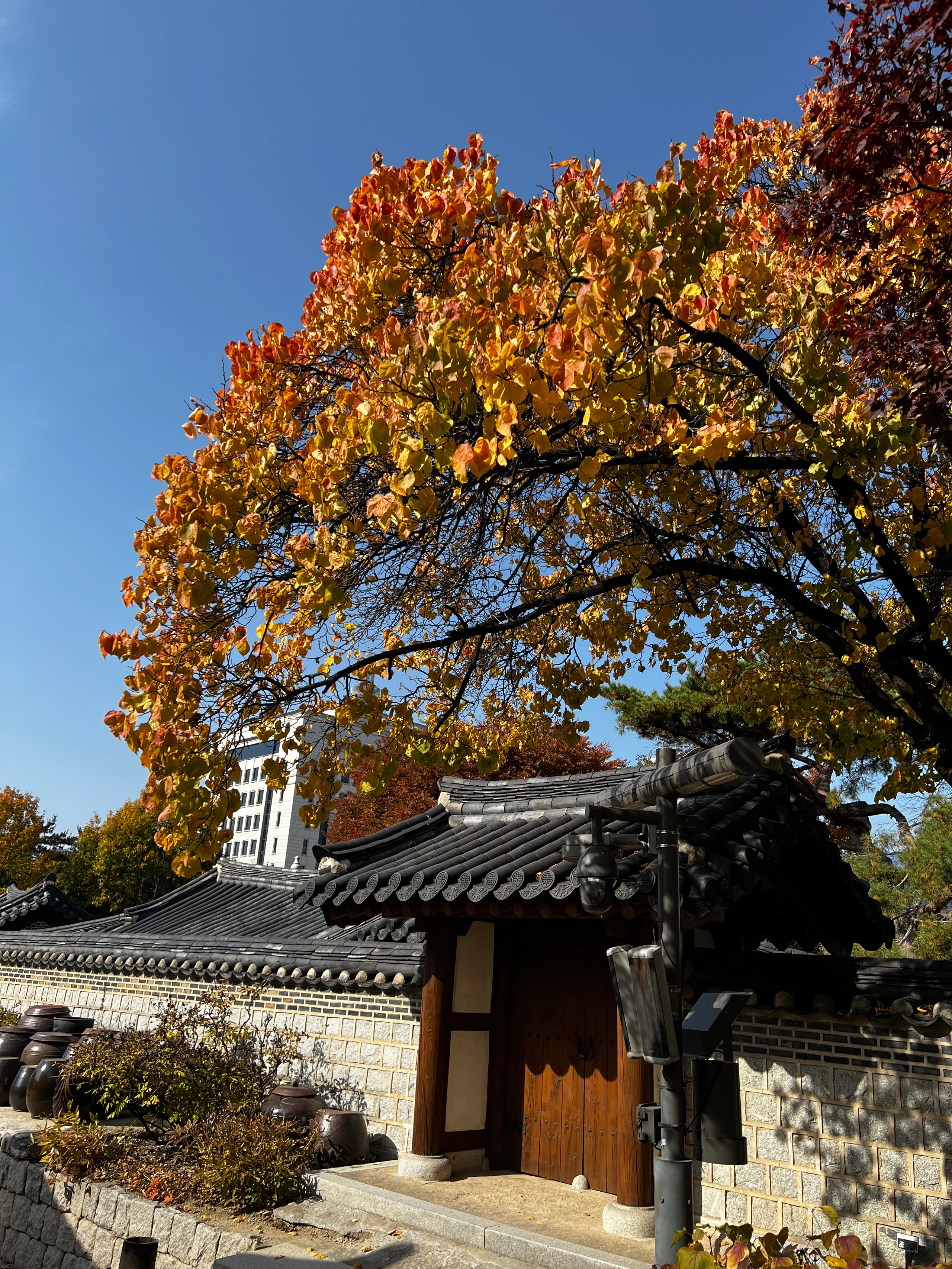 Namsangol Hanok Village