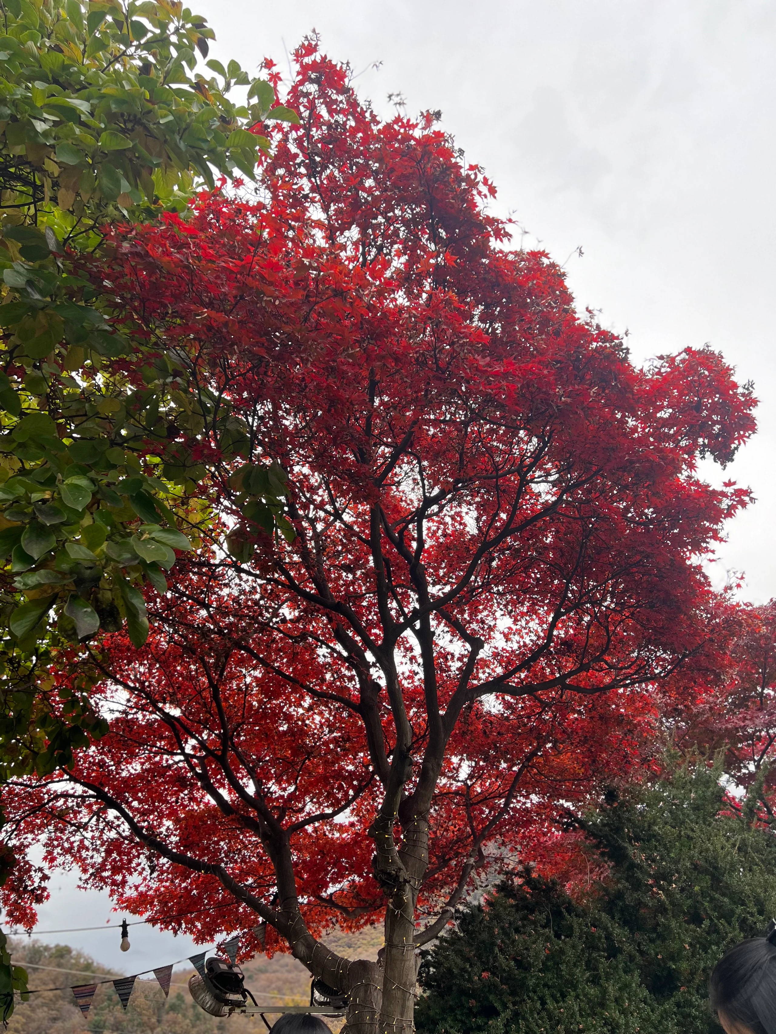 Chuncheon-si, Gangwon-do, South Korea