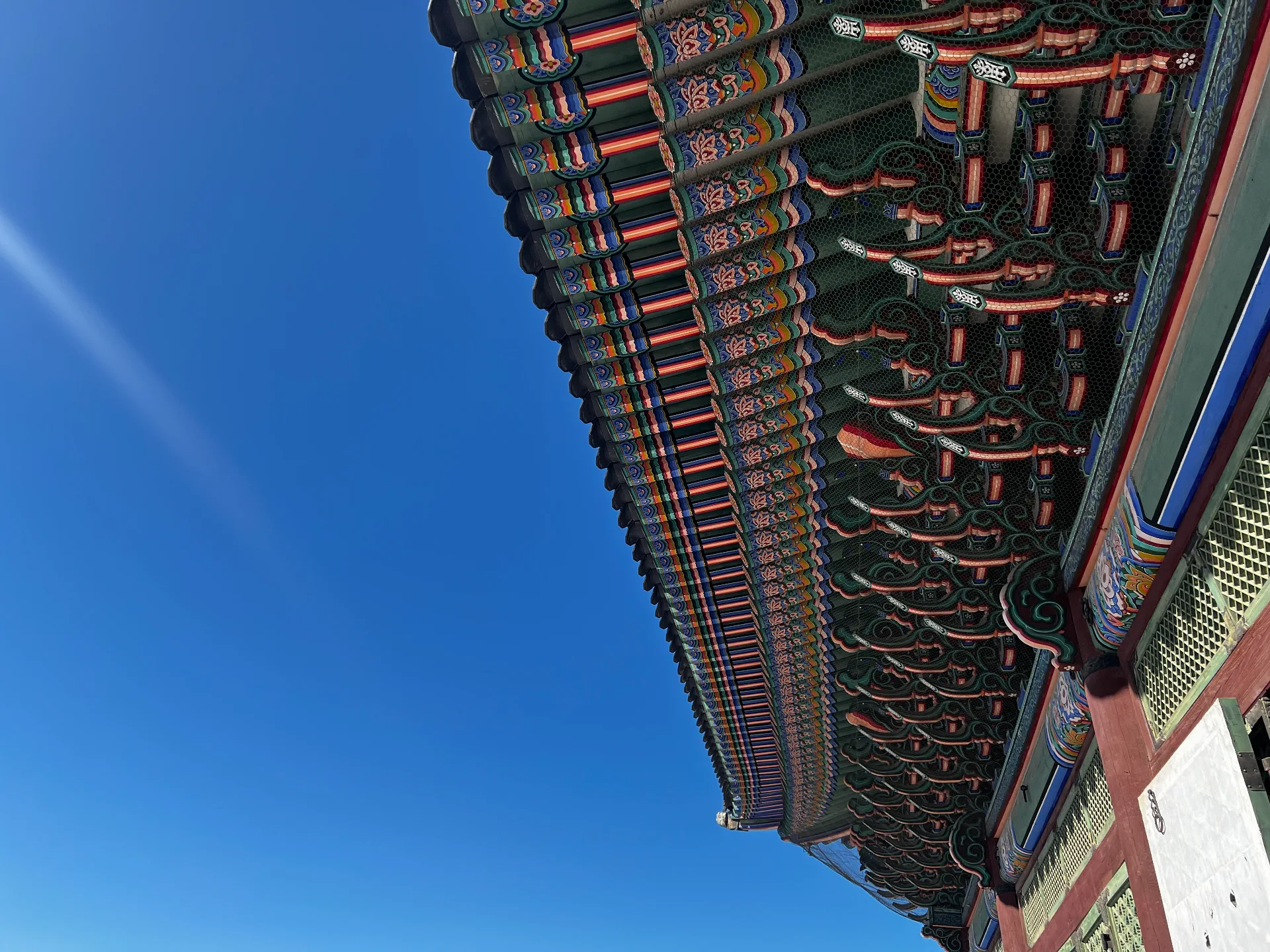 Seoul Through My Lens — November 2025
